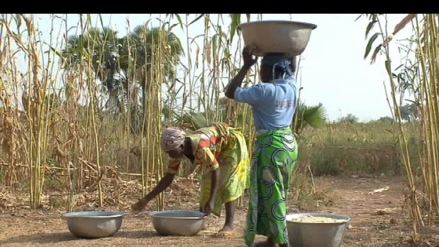 Bénin : les Iles de Paix travaillent à la formation des agriculteurs