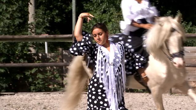 Spectacle émotion mêlant Feria et Flamenco à Grâce-Hollogne 