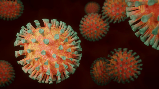 Coronavirus : la province de Liège en phase d'alerte 4