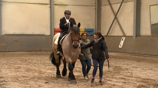 Hippopassion: un concours d'équitation adaptée pour clôturer l'année en beauté