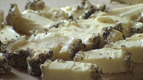 32ème Fête du fromage à Harzé