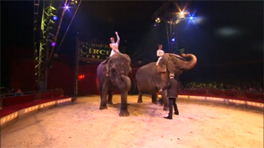 La magie de l'European Circus opère dans le Parc d'Avroy
