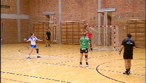 Handball : Hasselt - Visé